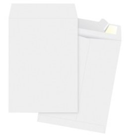 ENV,TYVEK,PLN,12X15.5