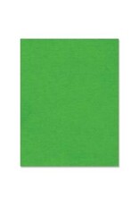 BRISTOL 4PLY 14PT 22x28*DK.GRN