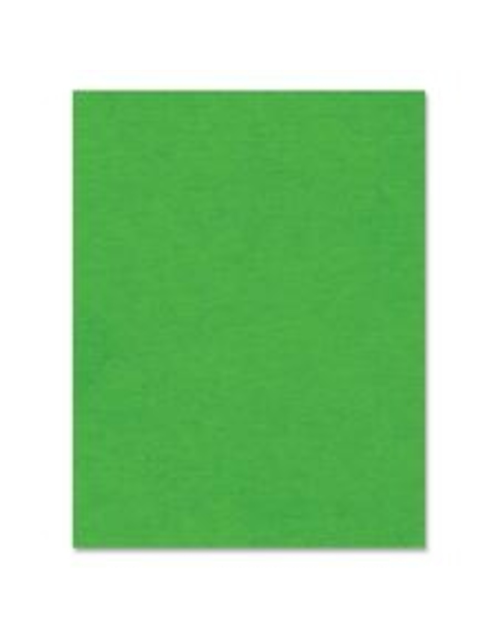 BRISTOL 4PLY 14PT 22x28*DK.GRN