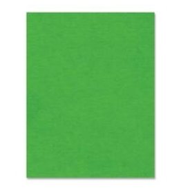 BRISTOL 4PLY 14PT 22x28*DK.GRN