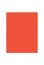 BRISTOL 4PLY 14PT 22x28*ORANGE