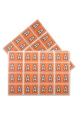 FILE LABEL* A - PINK   *240/PK