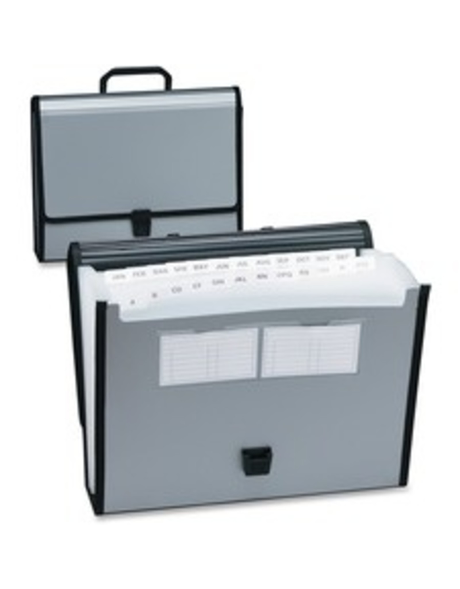 DOCUMENT CARRY CASE, POLY