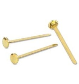 FASTNR BRASS PLATE 1C/BX*2''
