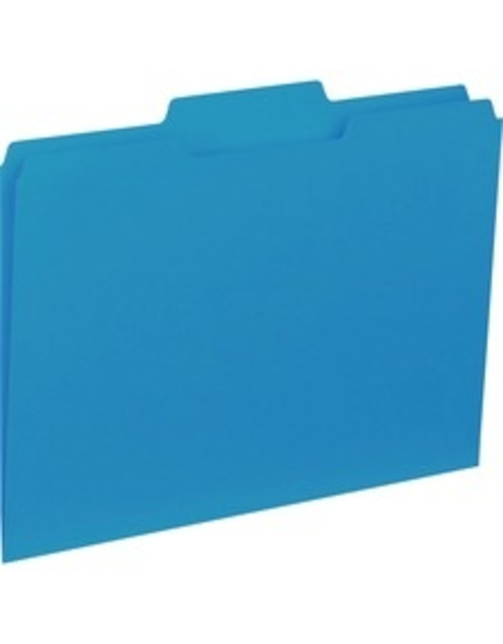 FOLDER,FILE,LTR,1/3,BLUE