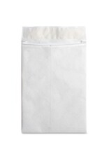 ENV,TYVEK,EXP,PLN,10X13X1.5