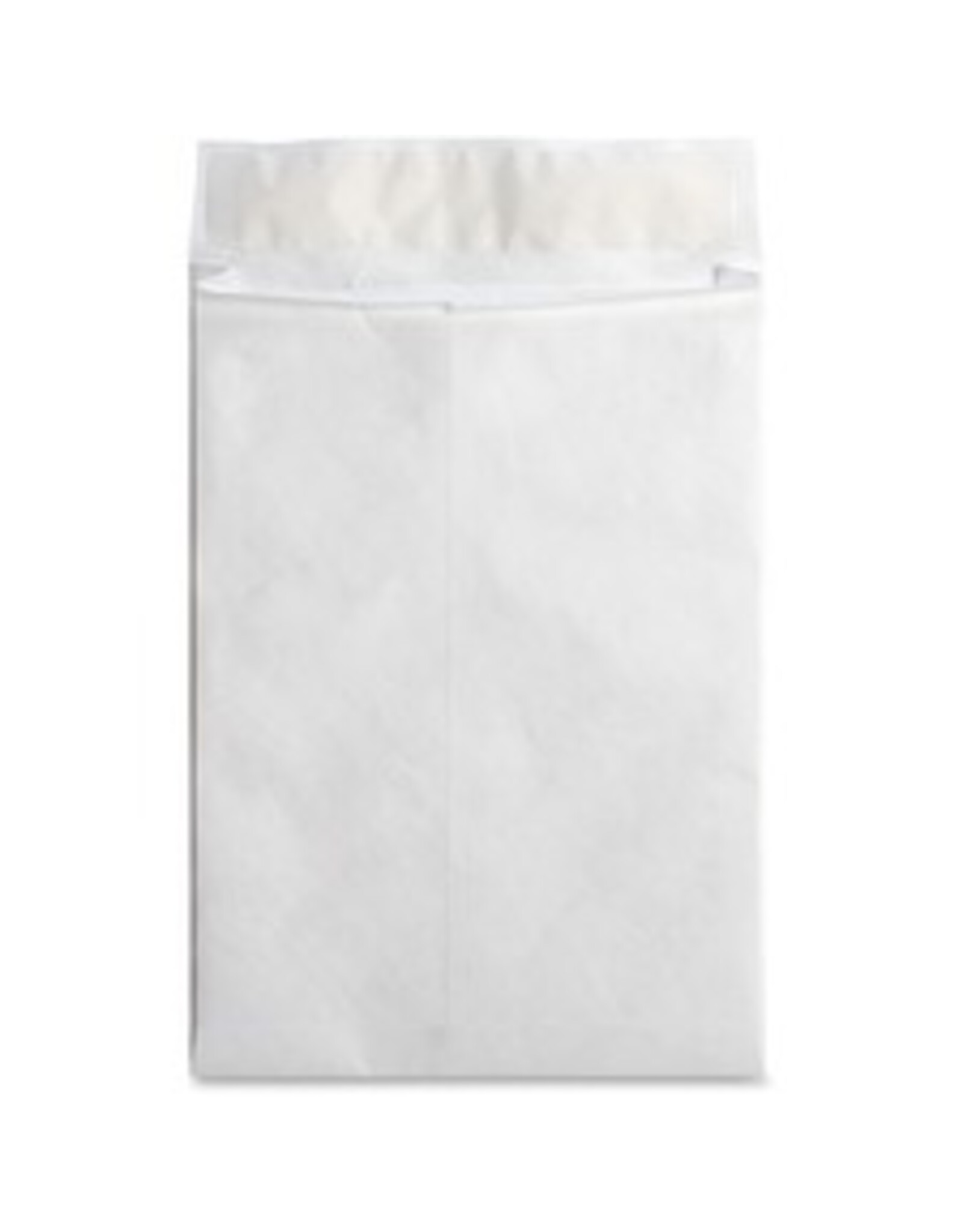 ENV,TYVEK,EXP,PLN,10X13X1.5