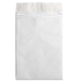 ENV,TYVEK,EXP,PLN,10X13X1.5