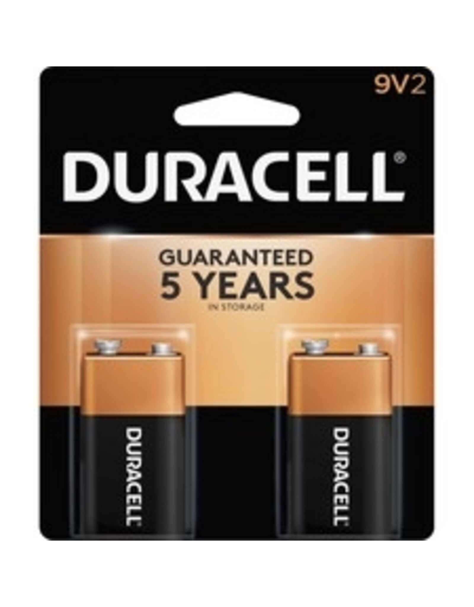 BATTERY, ALKLN 9 VOLT   *2/PK