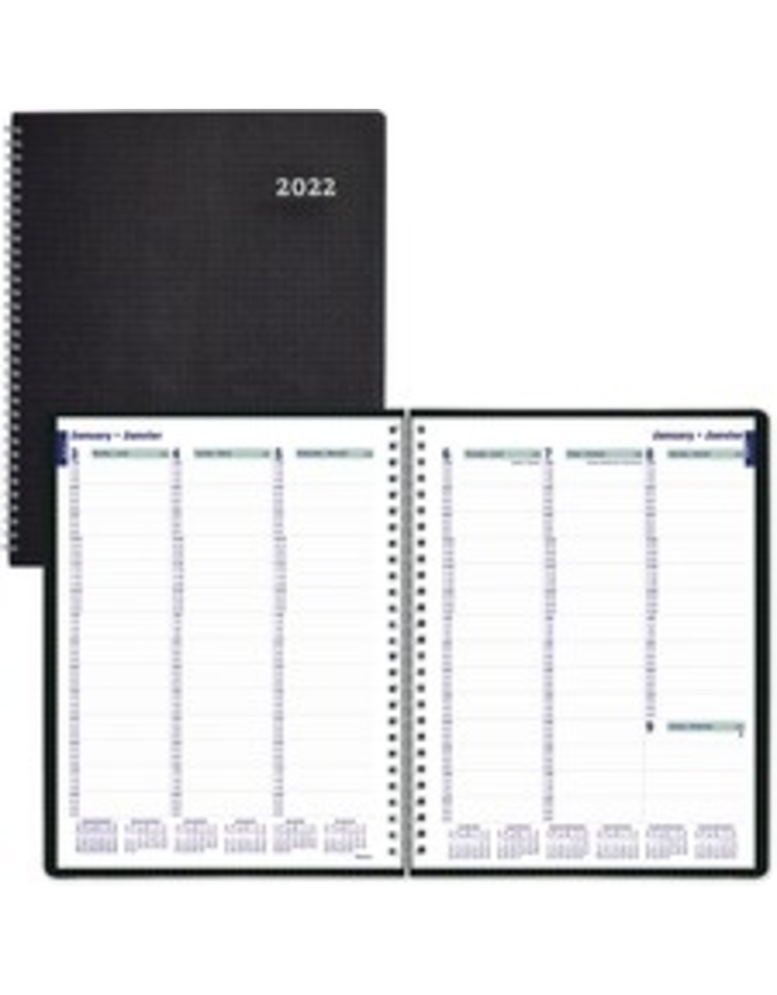 PLAN WKLY D/FLX T/W BIL *2022