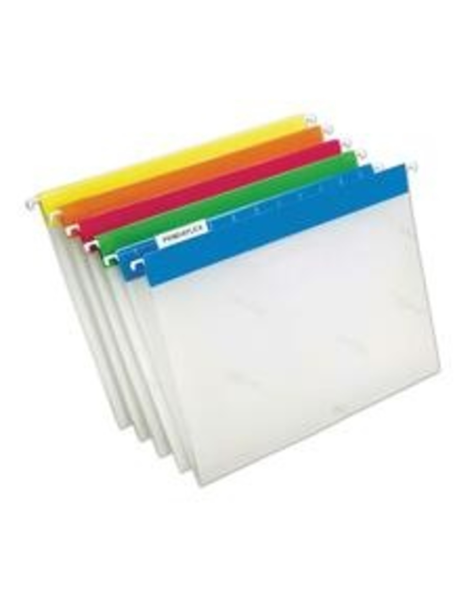 HANG FOLDER EASYVIEW AST*10/PK