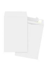 ENV,TYVEK,PLN,6X9