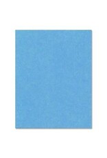 BRISTOL 4PLY 14PT 22x28*LT.BLU