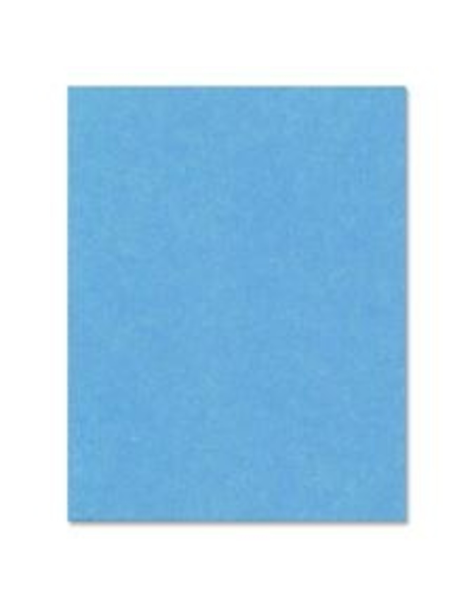 BRISTOL 4PLY 14PT 22x28*LT.BLU