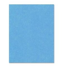 BRISTOL 4PLY 14PT 22x28*LT.BLU