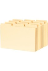 CARD GUIDE BLANK 4x6 1/3*1C/PK