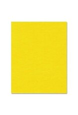 BRISTOL 4PLY 14PT 22x28*YELLOW
