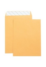ENVELOPE,CAT,SELF,9X12,250/BX