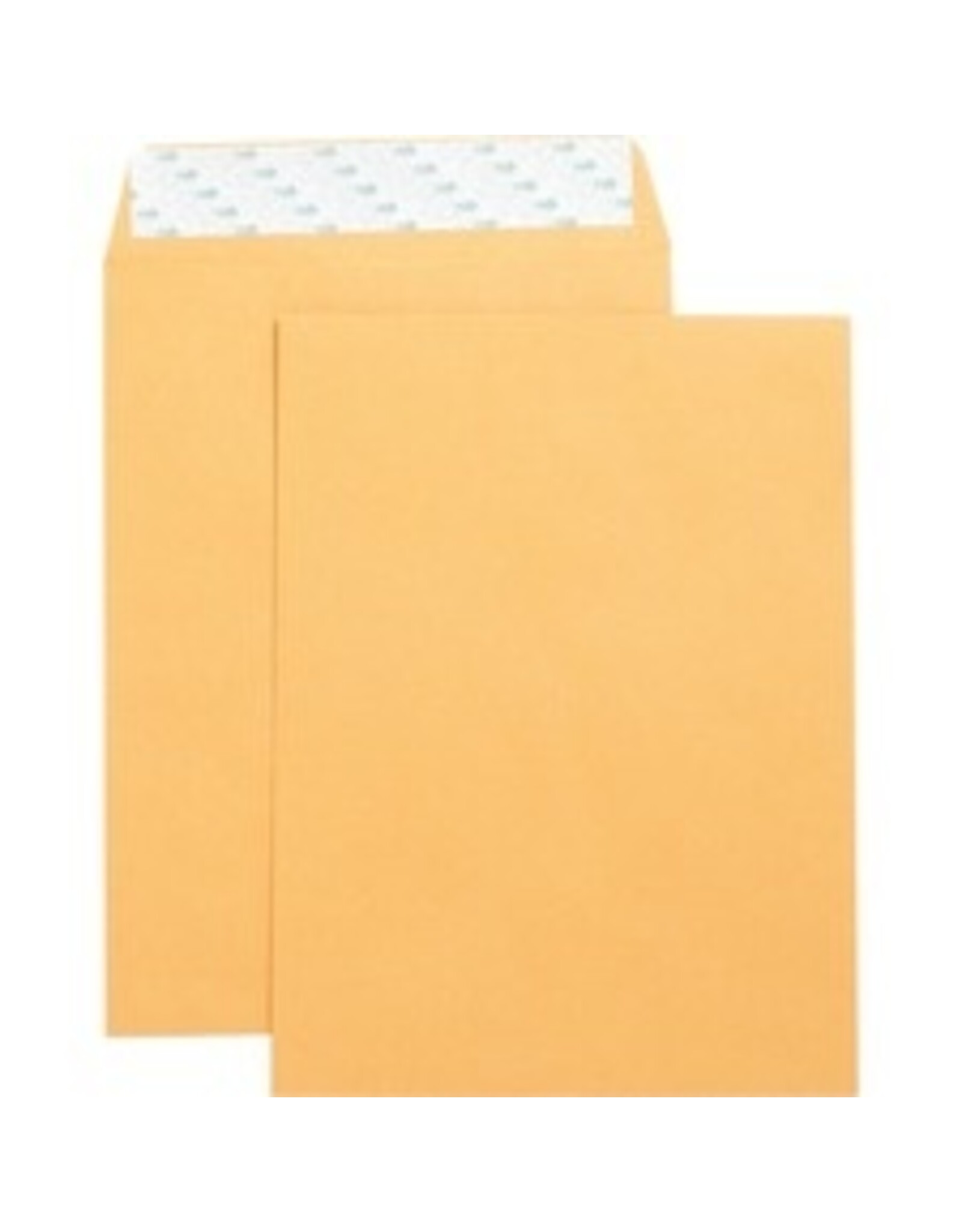 ENVELOPE,CAT,SELF,9X12,250/BX