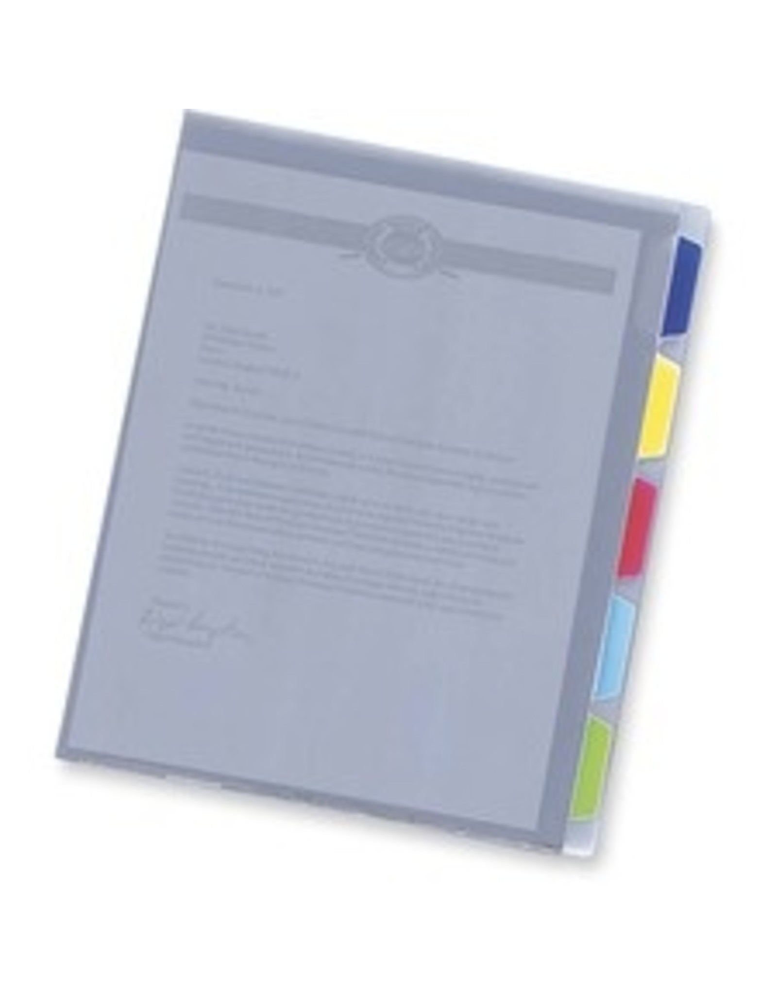 PROJ ORGNZR, LTR POLY 5TB*ICE
