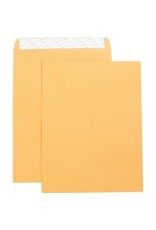 ENVELOPE,CAT,SELF,10X13,250/BX