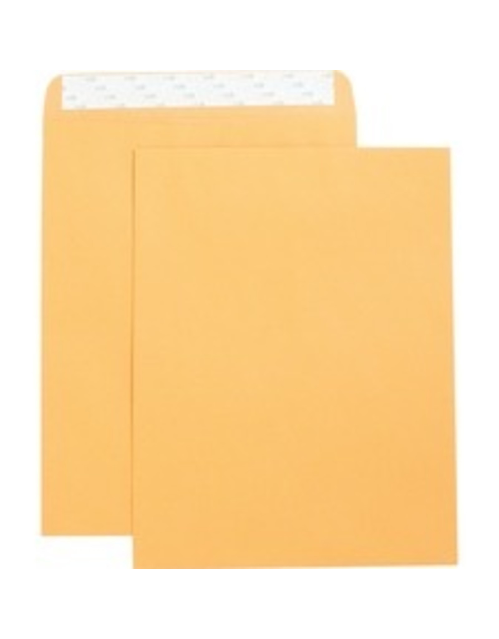 ENVELOPE,CAT,SELF,10X13,250/BX