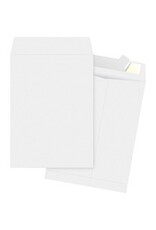 ENVELOPE,TYVEK,PLN,10X15