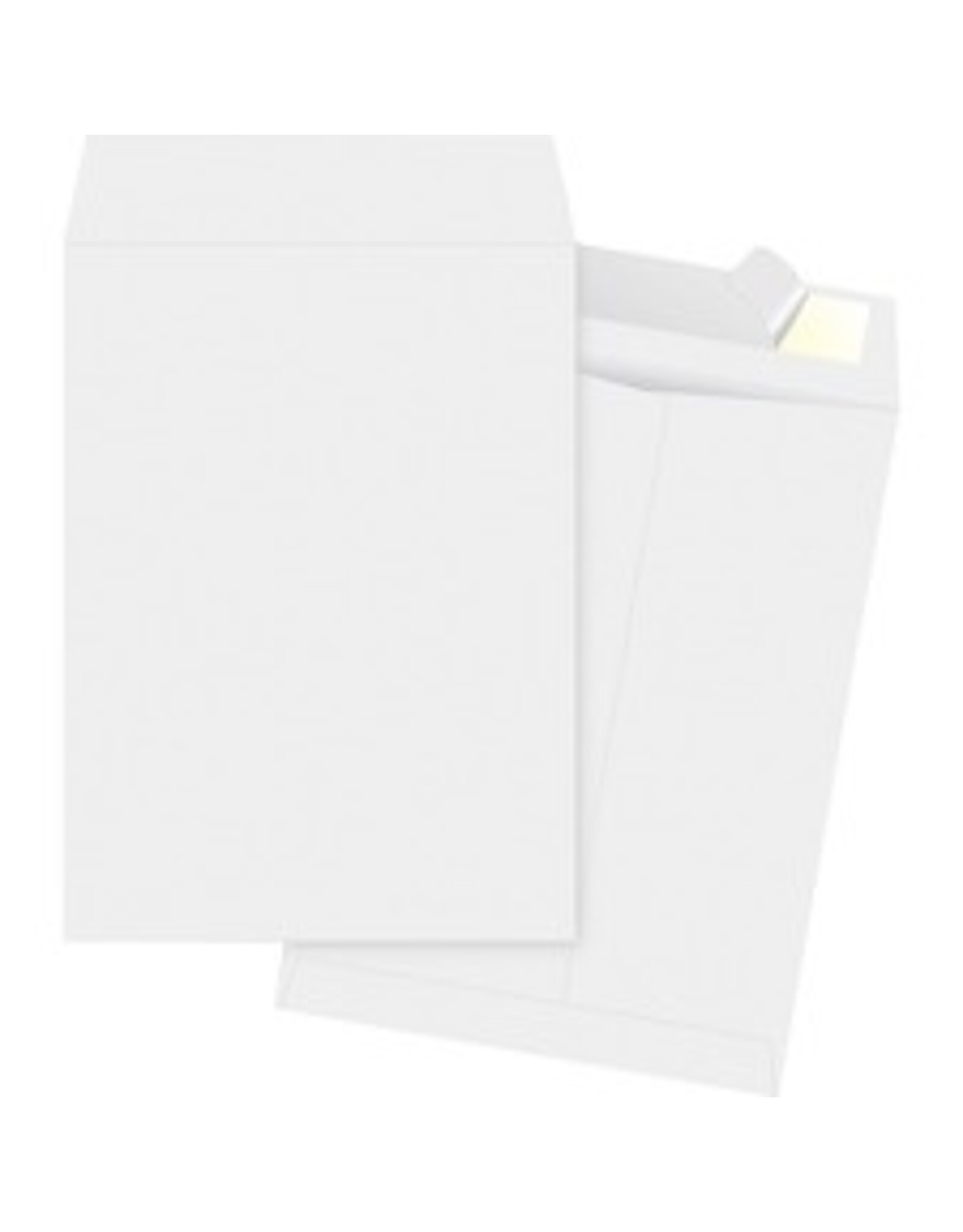 ENVELOPE,TYVEK,PLN,10X15