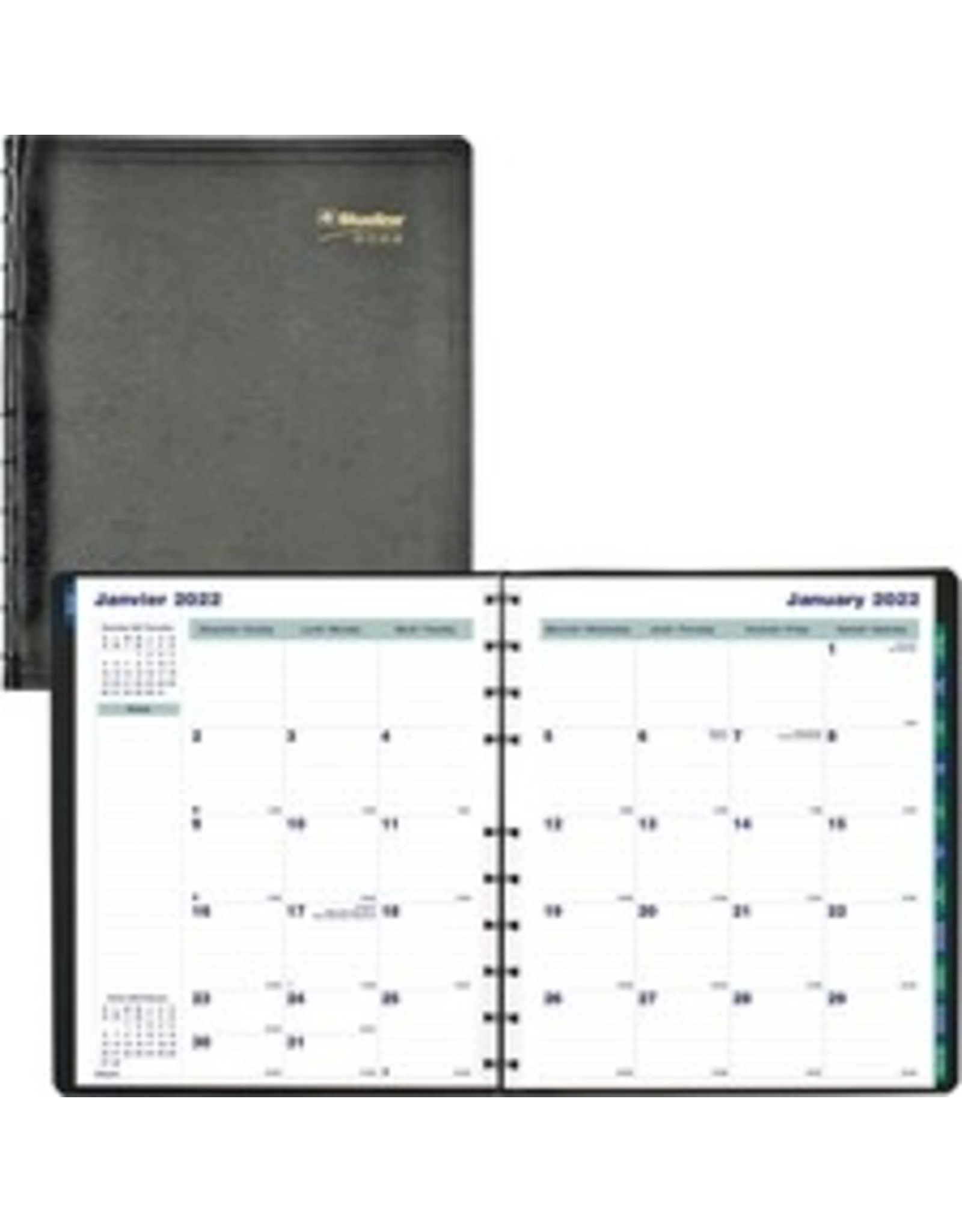 DIARY MNTH 11X8.5 MIRC SC*2022