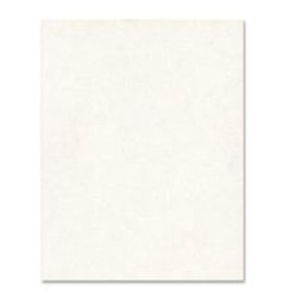 BRISTOL 4PLY 14PT 22x28 *WHITE