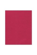 BRISTOL 4PLY 14PT 22x28*RED
