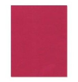 BRISTOL 4PLY 14PT 22x28*RED