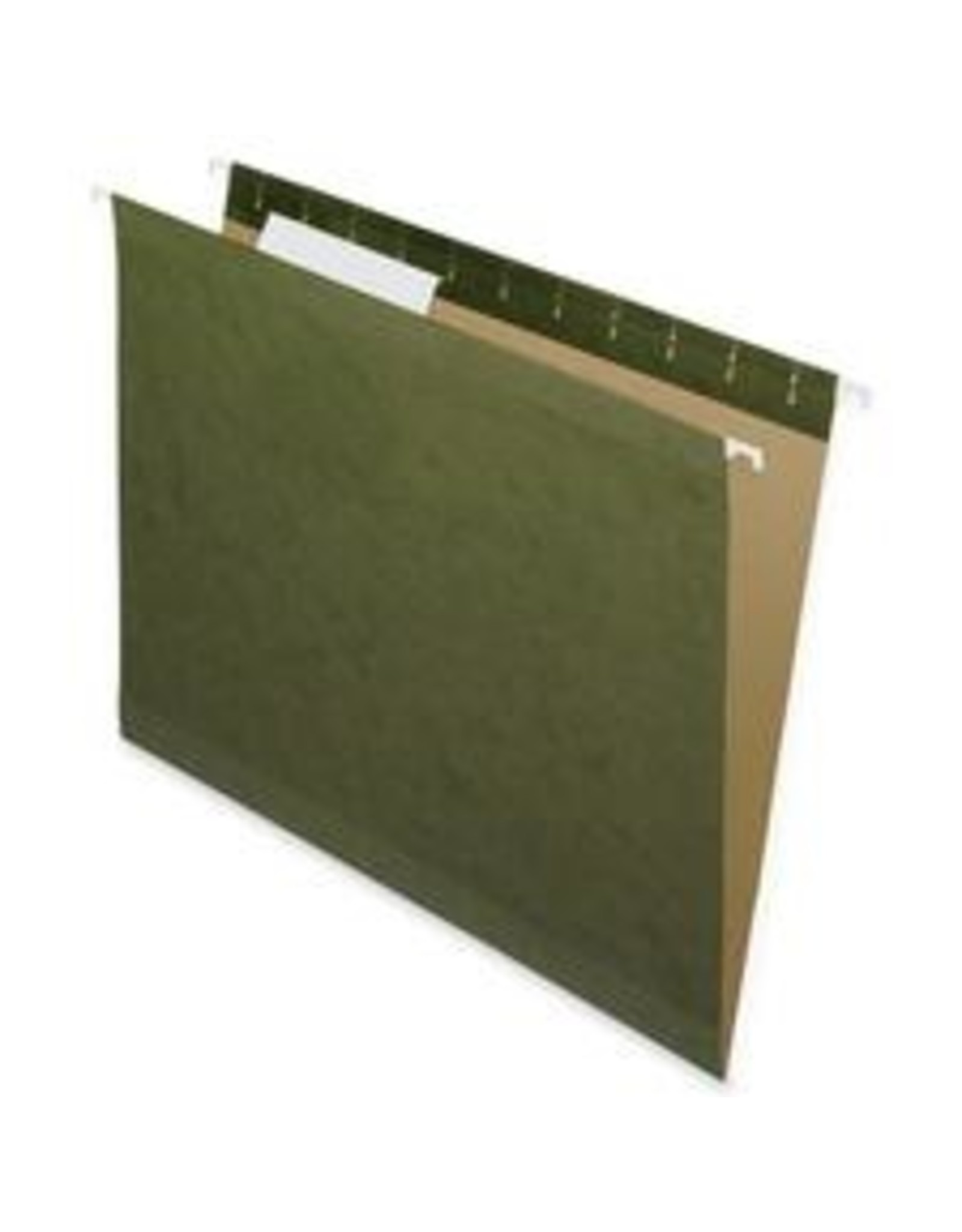 HANG FILE FOLDER LTR 1/3 CUT