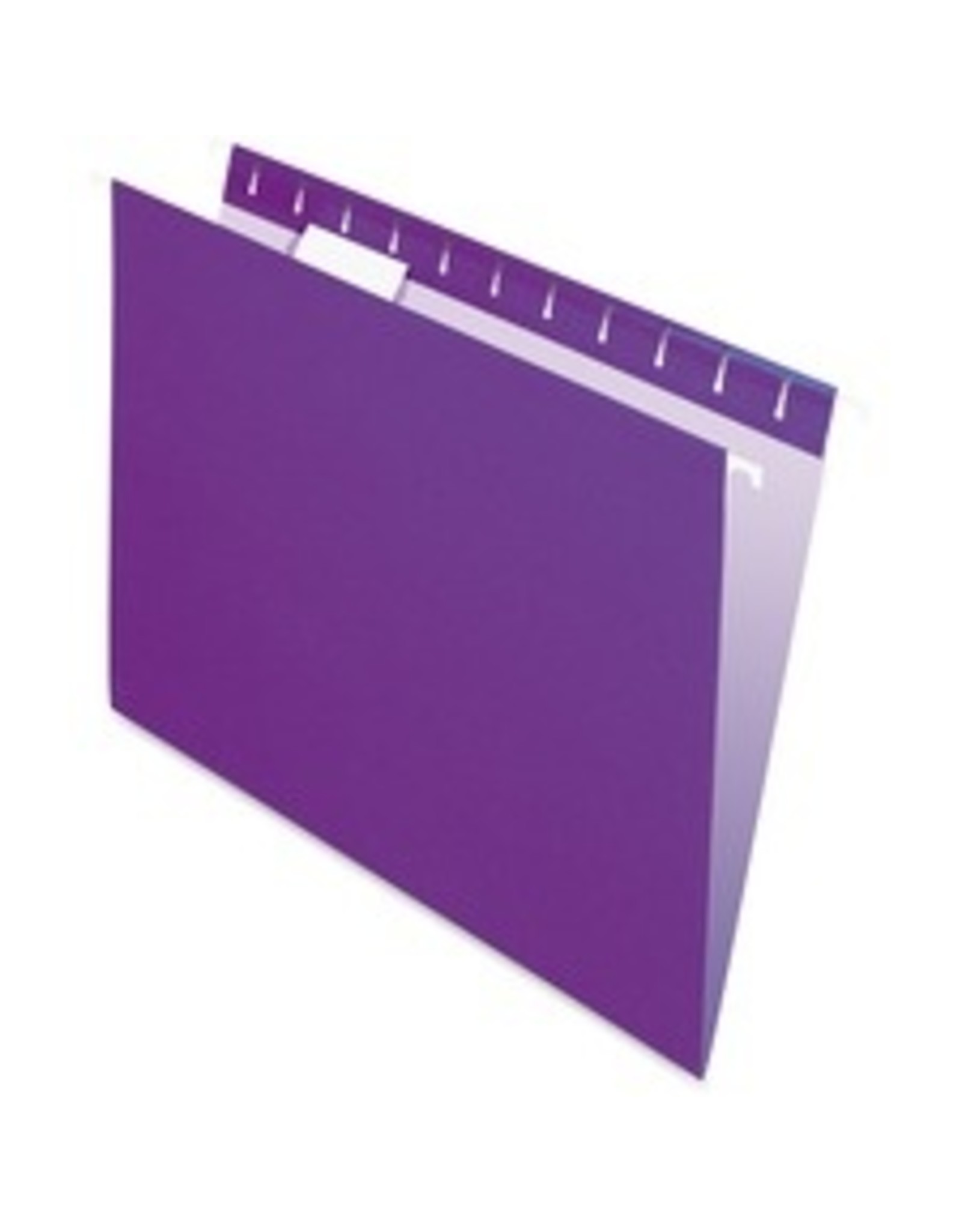 HANG FILE-PRO LTR*VIOLET*25/BX