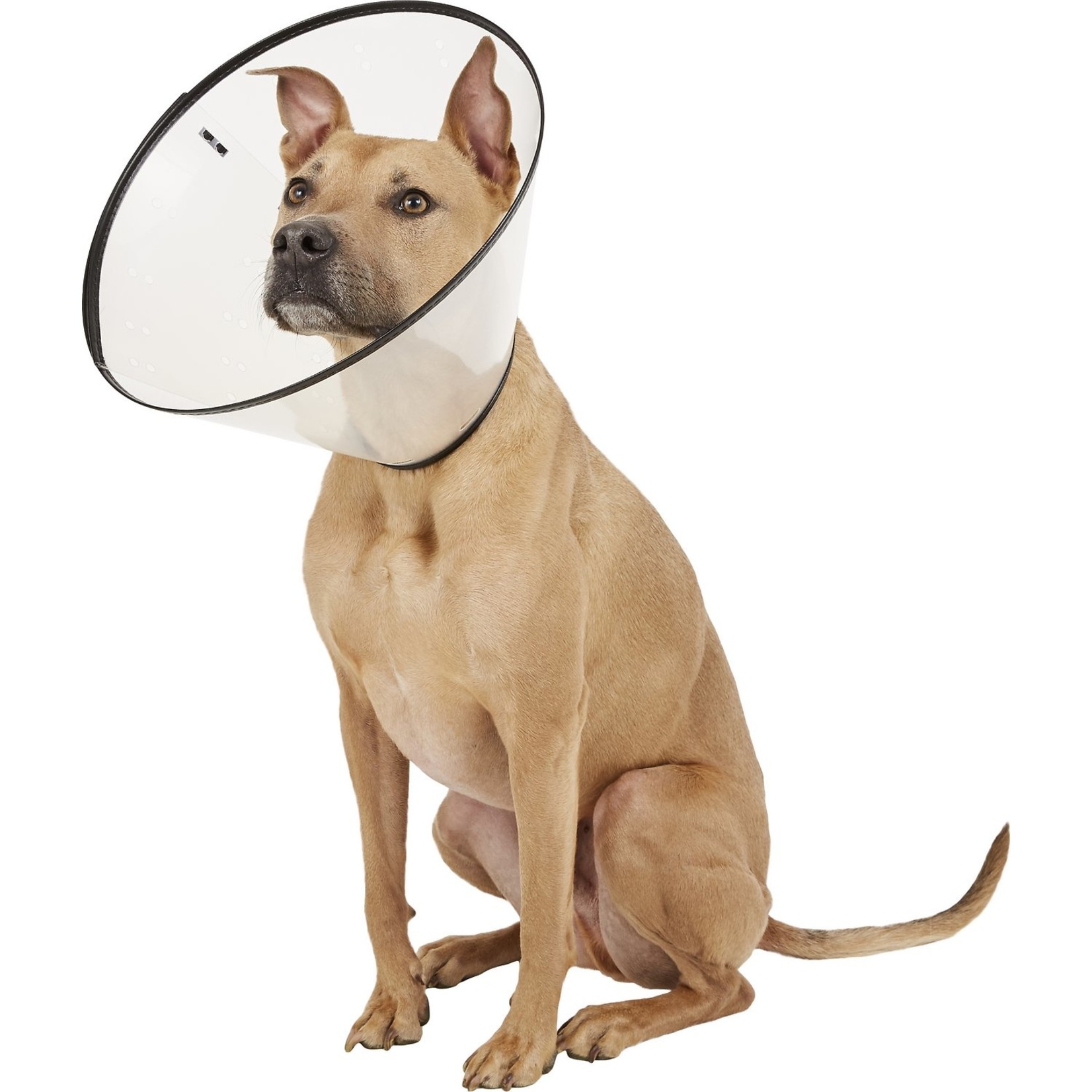 Dogswell Dogswell Remedy+Recovery E-Collar