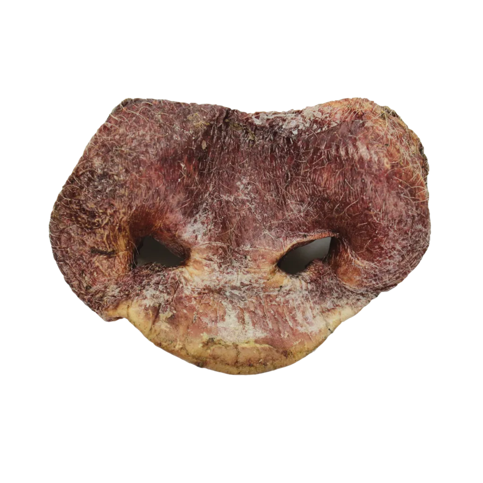 Vital Essentials Freeze Dried Pig Snout