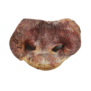 Vital Essentials Freeze Dried Pig Snout