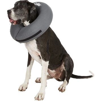 ZenPet ZenPet ZenCollar Inflatable Recovery Collar