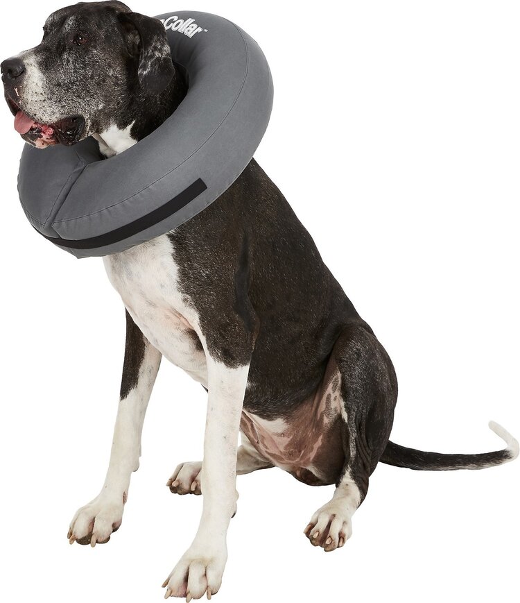 ZenPet ZenPet ZenCollar Inflatable Recovery Collar