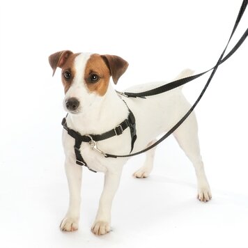 2 Hounds Design 2 Hounds Design 1" Freedom No-Pull Harness