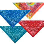 Top Performance Paisley Bandana