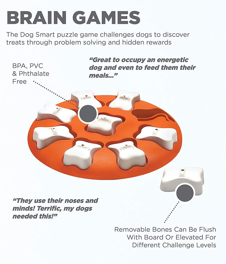 Outward Hound Nina Ottosson Level 1 Dog Smart Puzzle