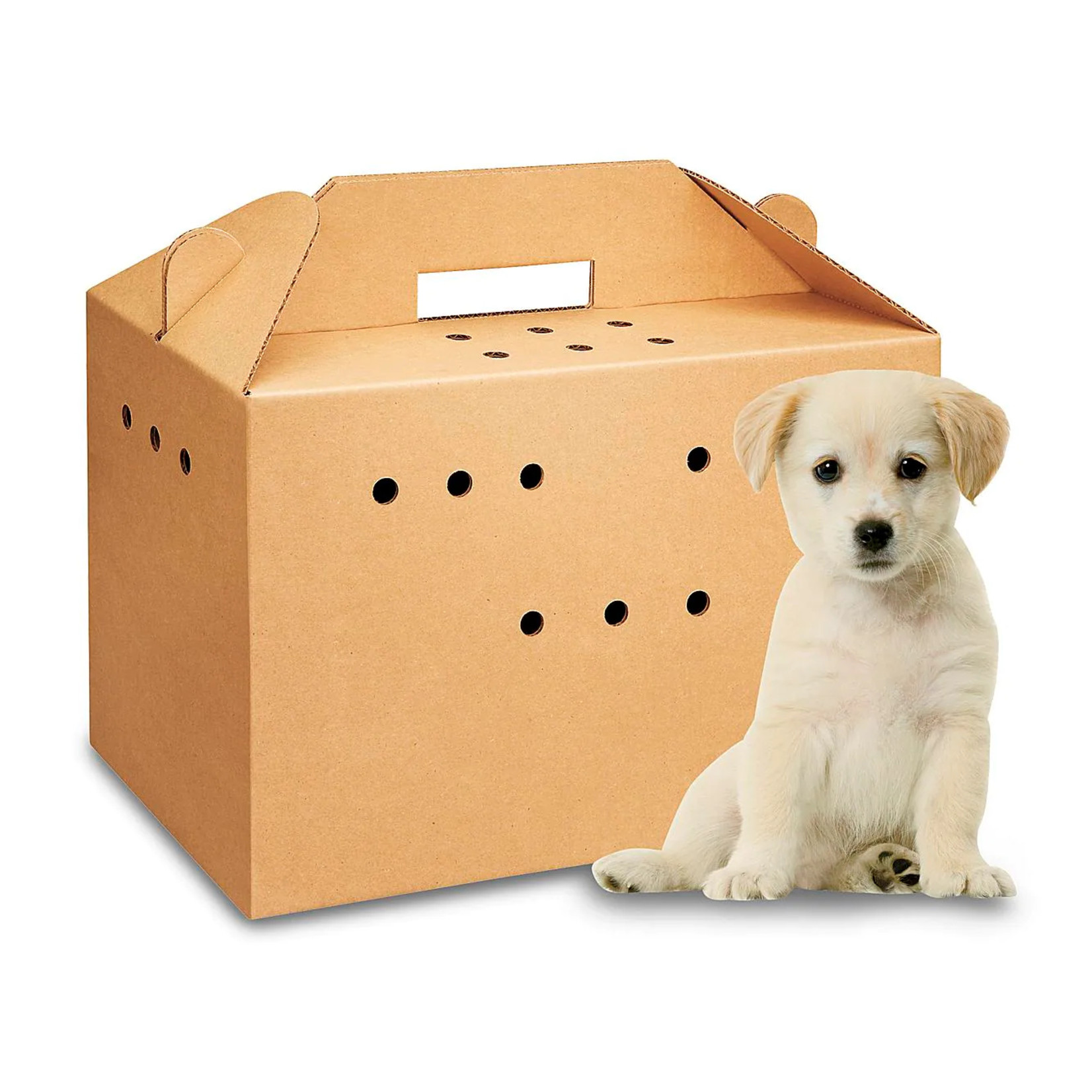 Cardboard Pet Carrier