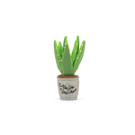 P.L.A.Y. Pet Lifestyle and You P.L.A.Y. Blooming Buddies Collection - Aloe-ve You Plant Toy