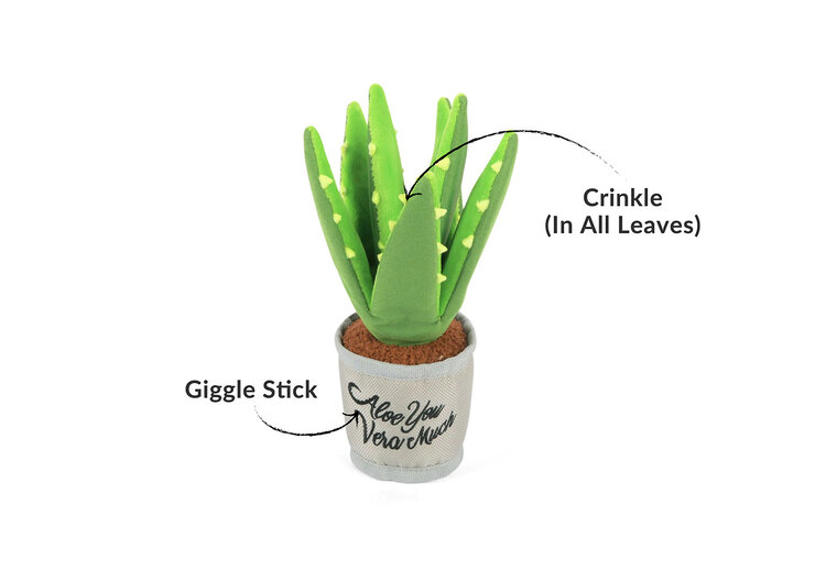 P.L.A.Y. Pet Lifestyle and You P.L.A.Y. Blooming Buddies Collection - Aloe-ve You Plant Toy