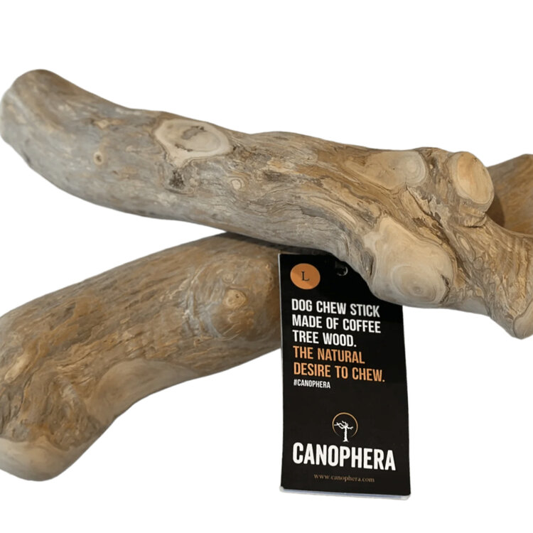 Canophera Canophera Coffee Wood Chew Stick