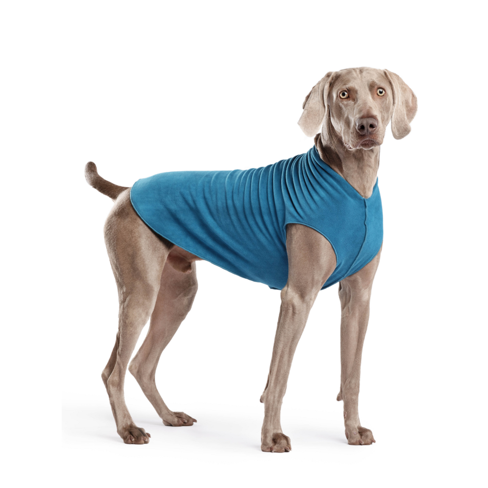 Goldpaw Series  Stretch Fleece