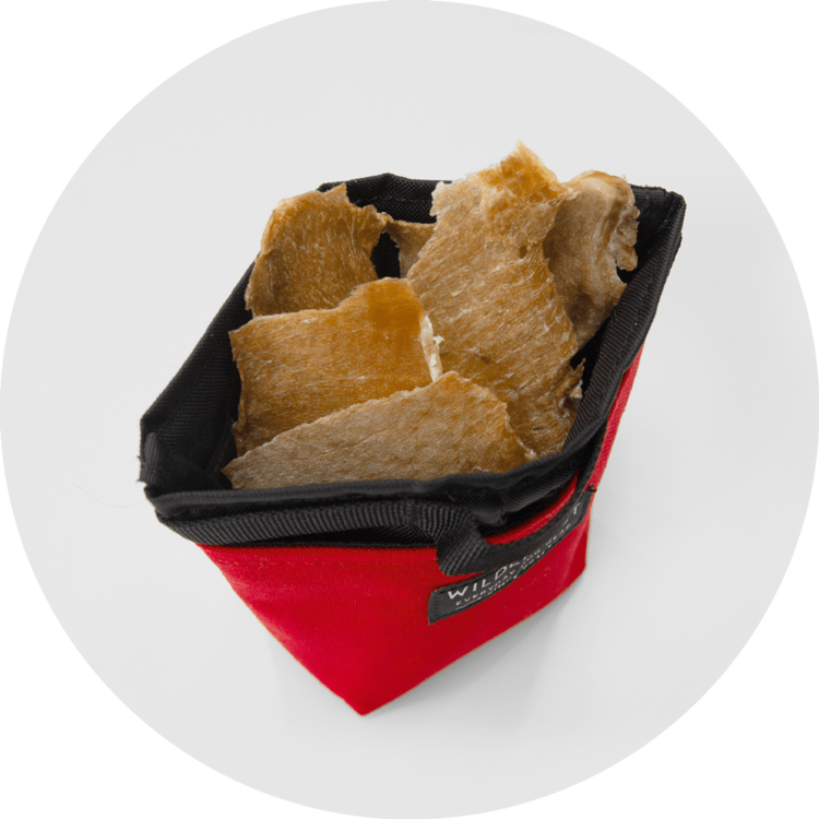 Wildebeest Wildebeest Alamo Treat Pouch