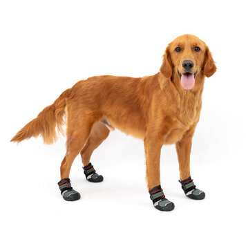 Kurgo Kurgo Blaze Dog Boots 2-Pack