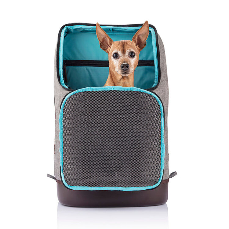 Kurgo Kurgo K9 Rucksack Dog Carrier